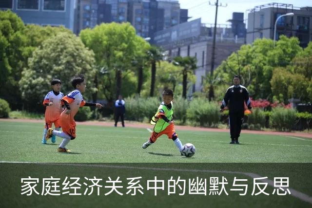家庭经济关系中的幽默与反思