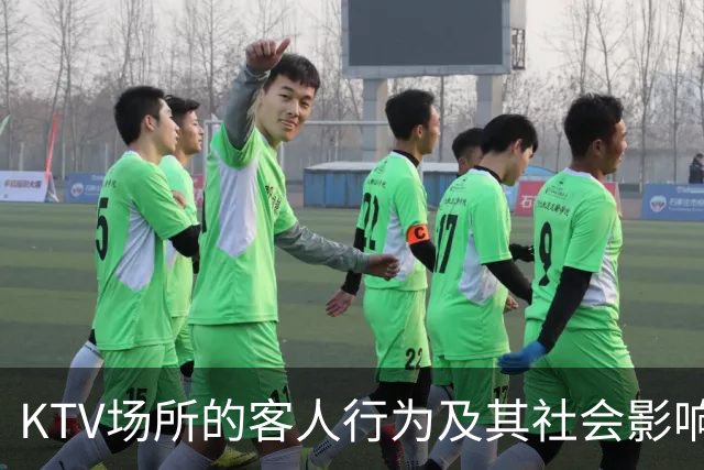KTV场所的客人行为及其社会影响研究